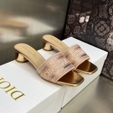 Christian Dior Slippers